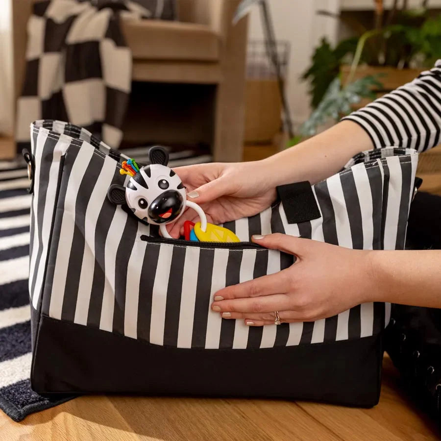 Baby Einestein Zen Teether Shake-a-Shap Toys