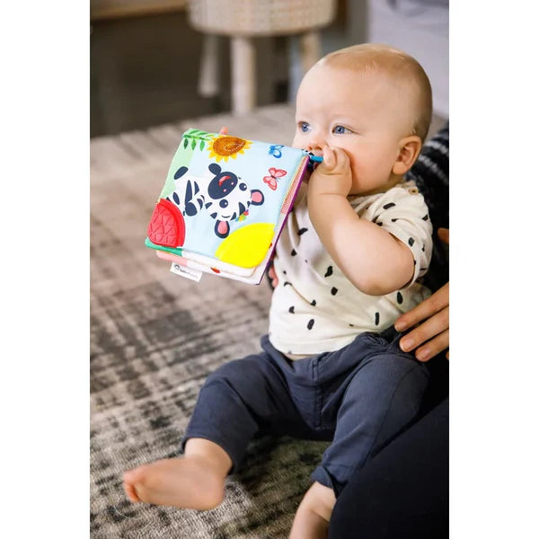 Baby Einstein Curious Explorers Teether Book