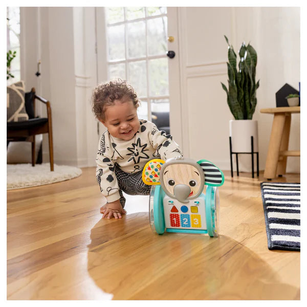 Baby Einstein Chase & Tap Earl Interactive Crawling Toy