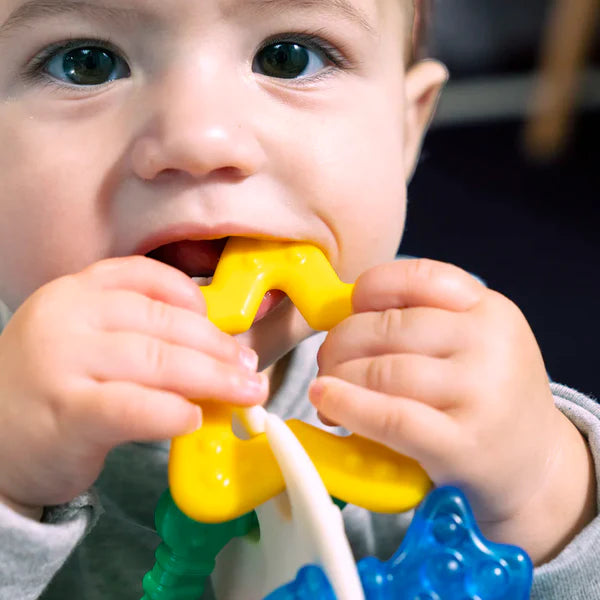 Baby Einstein Sea Of Sensory Teether Toy