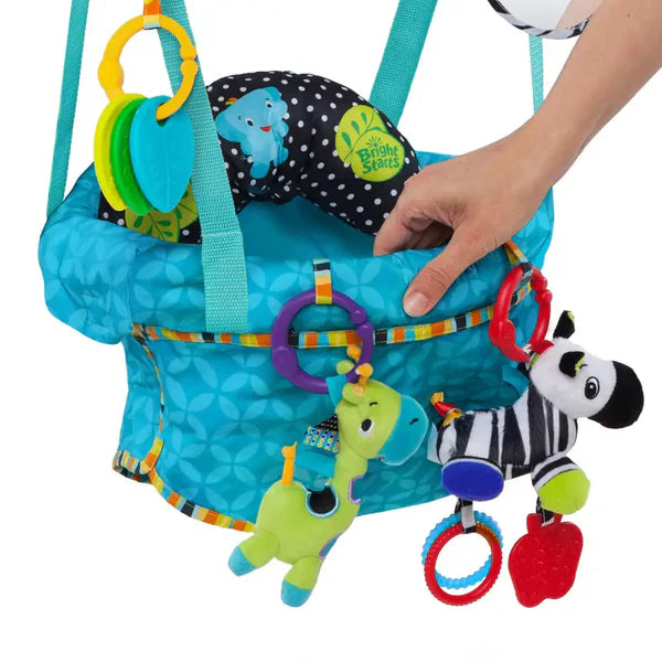 Bright Starts Bounce 'N Spring Deluxe Door Jumper