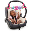 Bright Starts Busy Birdies Carrier Toy Bar Take-Along Toy Owl