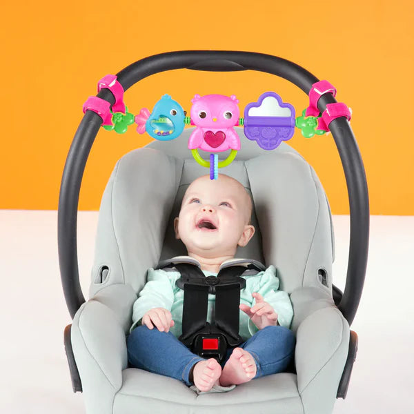 Bright Starts Busy Birdies Carrier Toy Bar Take-Along Toy Owl
