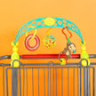 Bright Starts Flex ‘N Go Activity Arch™ Take-Along Toy ahlanfun.com