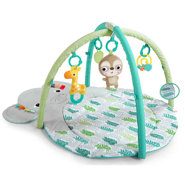 Bright Starts Hug ‘N Cuddle Activity Gym