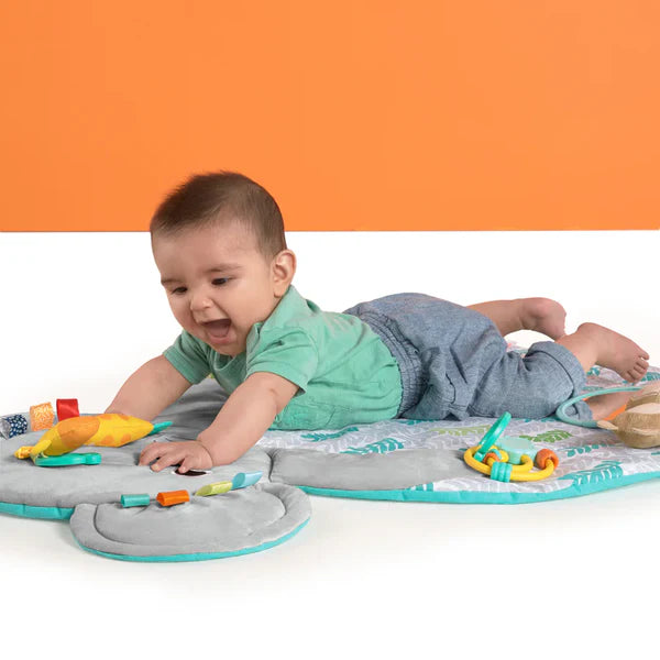 Bright Starts Hug ‘N Cuddle Activity Gym