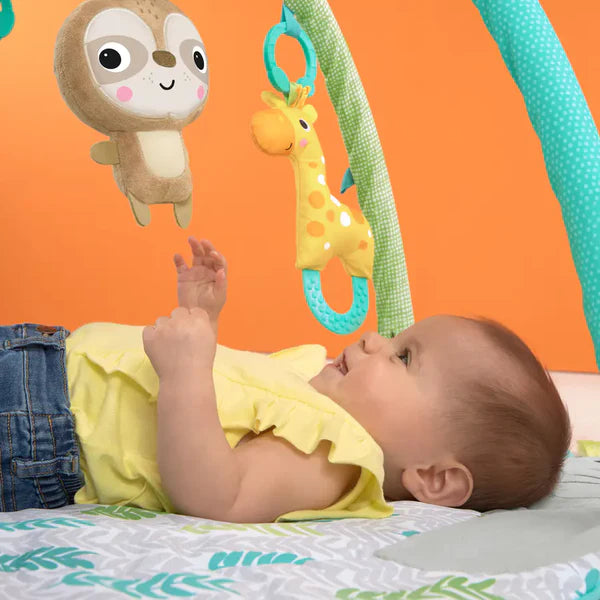 Bright Starts Hug ‘N Cuddle Activity Gym