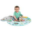 Bright Starts Hug ‘N Cuddle Activity Gym