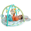 Bright Starts Hug ‘N Cuddle Activity Gym