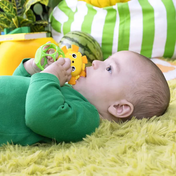 Bright Starts Oball 2pk Soothing Pals Peg Toy