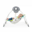 Bright Starts Rainforest Vibes™ Portable Swing