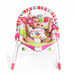 Bright Starts Raspberry Garden™ Rocker