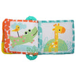 Bright Starts Teethe & Read Toy