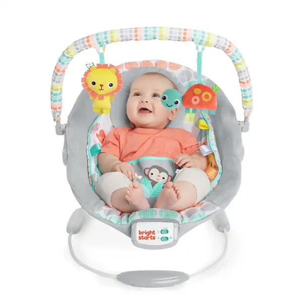 Bright Starts Whimsical Wild™ - Comfy Bouncer