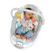 Bright Starts Whimsical Wild™ - Comfy Bouncer