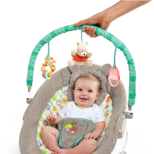 Bright Starts Winnie The Pooh Dots & Hunny Pots Bouncer