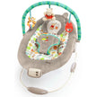 Bright Starts Winnie The Pooh Dots & Hunny Pots Bouncer