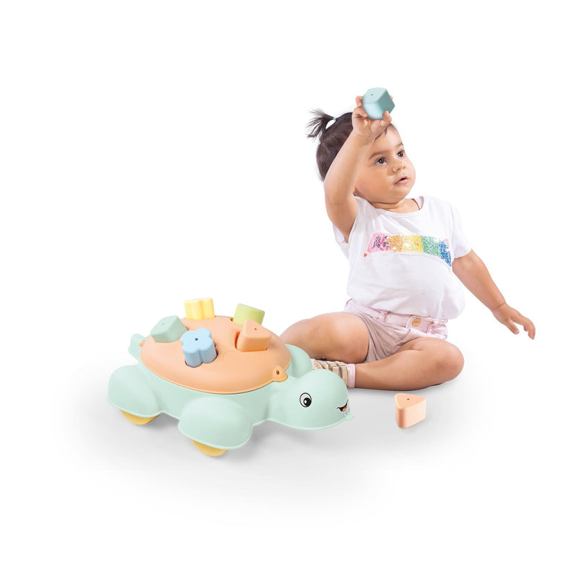 DOLU TURTLE SHAPE SORTER 5 PCS