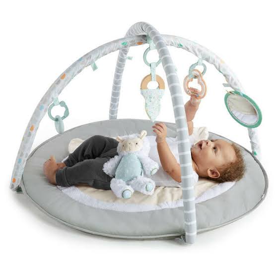 Ingenuity-Sheppy’S Spot™ Plush Activity Gym - Corrie
