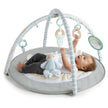 Ingenuity-Sheppy’S Spot™ Plush Activity Gym - Corrie
