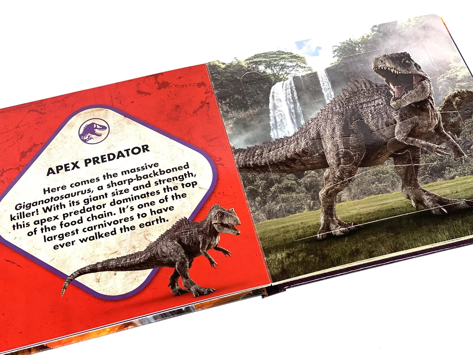 Phidal-UNIVERSAL JURASSIC WORLD MY FIRST PUZZLE BOOK