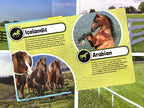 Phidal-WORLD OF HORSES MY BUSY BOOKS