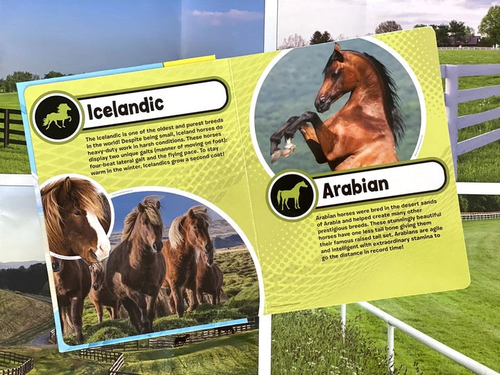 Phidal-WORLD OF HORSES MY BUSY BOOKS